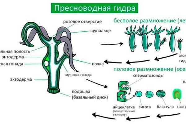Кракен рабочая ссылка