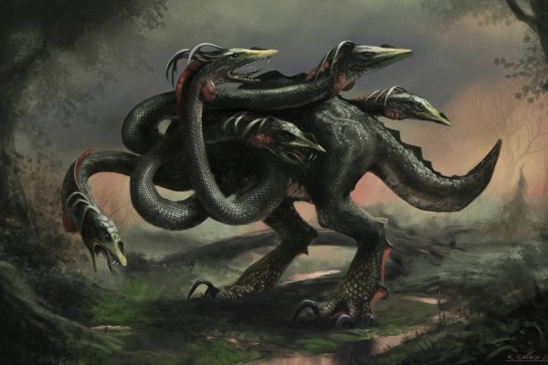 Kraken tor link