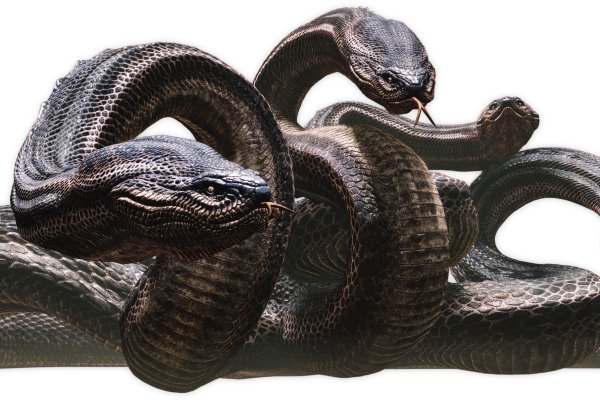 Kraken ссылка tor официальный сайт