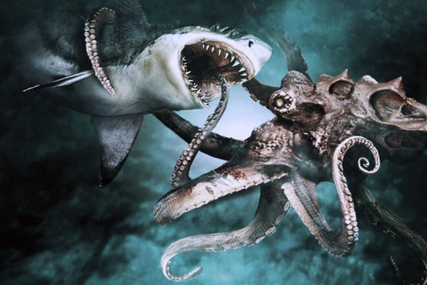 Kraken это современный маркетплейс