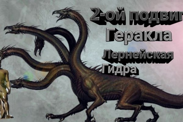 Kraken 24 at
