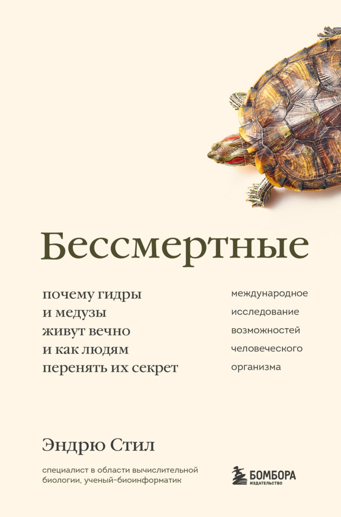 Кракен даркнет плейс